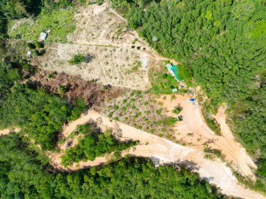 Çevresel açıdan tehlikeli bir dağ, Asya 'daki tropikal orman doğal manzarası, erozyonun insan tarafından uçurum olarak görülmesi koşuluyla toprak.