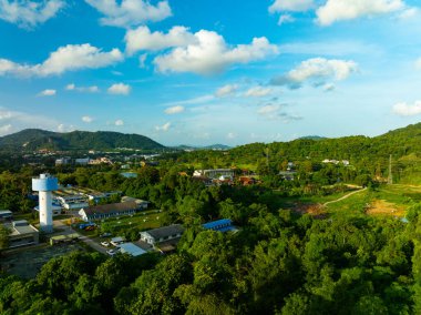Phuket Tayland 'daki tropikal orman ağaçları.