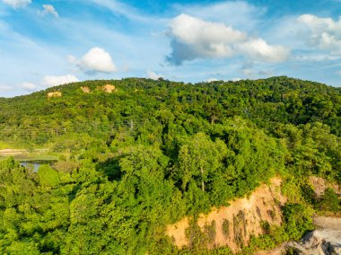 Hava görüntüsü Drone kamerası yağmur ormanları ağaçlarının tepesindeki ekoloji sağlıklı çevre konsepti ve yaz arkaplanı, yeşil çevre arka planı