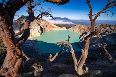 Turkuaz Su Gölü ile Deadwood Yapraksız Ağacı, Güzel doğa manzarası dağı ve Kawah Ijen volkanı, Doğu Java, Endonezya 'da yeşil göl