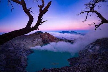 Turkuaz Su Gölü ile Deadwood Yapraksız Ağacı, Güzel doğa manzarası dağı ve Kawah Ijen volkanı, Doğu Java, Endonezya 'da yeşil göl