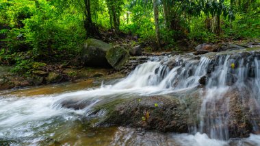 Ormandaki Berrak Nehir 'de Şelale, Sabah Işığı Arkaplanda Temiz Su' lu Küçük Şelale Nehri