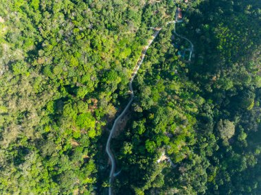 Hava manzaralı Tropikal Yağmur Ormanları Dağları