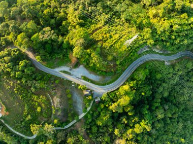 Hava manzaralı Tropikal yağmur ormanları ormandaki kavis yolu olan dağlar