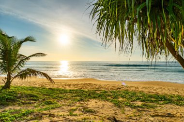 Hindistan cevizi palmiyelerinin yaz arkaplanı beyaz kumlu sahil manzarası manzarası mavi suyla romantik okyanus körfezi ve açık mavi gökyüzü Phuket Adası Tayland.