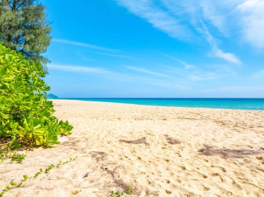 Boş tropikal plaj ve deniz manzarası güneşli bir günde güzel kumlu sahil ve deniz, güzel bir günde mavi gökyüzü, deniz manzarası doğa arka planı.