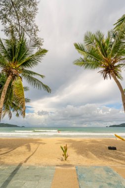 Hindistan cevizi palmiyelerinin yaz arkaplanı beyaz kumlu sahil manzarası manzarası mavi suyla romantik okyanus körfezi ve açık mavi gökyüzü Phuket Adası Tayland.