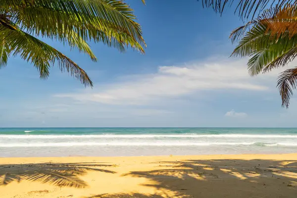 Hindistan cevizi palmiyelerinin yaz arkaplanı beyaz kumlu sahil manzarası manzarası mavi suyla romantik okyanus körfezi ve açık mavi gökyüzü Phuket Adası Tayland.