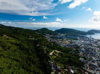 Orman ağaçlarının hava görüntüsü Orman çevresi