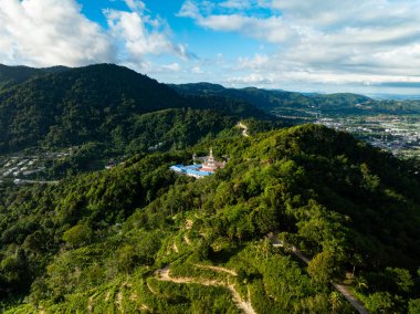 Orman ağaçlarının hava görüntüsü Orman çevresi