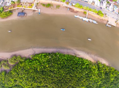 İnanılmaz bol mangrov ormanı, orman ağaçlarının havadan görünüşü yağmur ormanları ekosistemi ve sağlıklı çevre arka planı, tepeden tırnağa yeşil ağaçların yapısı, yüksek açı manzarası.