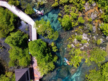 Mangrove Ormanı ve nehir manzarası Thapom Klong Song Nam, Krabi Tayland, Mangrove ormanının güzel kökü kristal berrak su ile küçük kanalda, yüksek açılı manzara