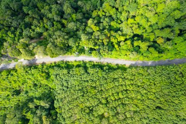 Hava manzaralı Tropikal yağmur ormanları dağları, tepedeki yeşil orman arka planı