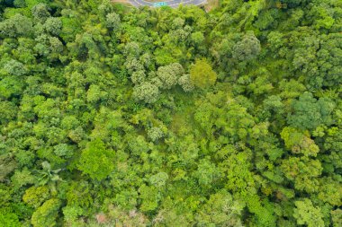 Hava manzaralı Tropikal yağmur ormanları dağları, tepedeki yeşil orman arka planı