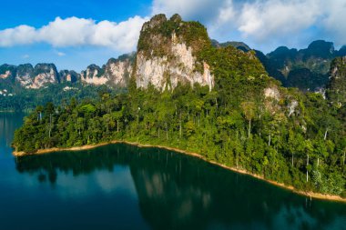 Hava manzaralı Tropikal yağmur ormanı ağaçları suda yansıyan yansımalarla