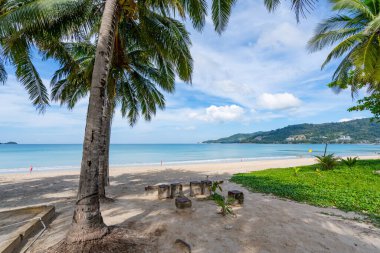 Patong Sahili 'nin etrafında palmiye ağaçları olan Phuket Adası Tayland' da Phuket Patong Patong Plajı yaz mevsiminde mavi gökyüzü arka planına sahip güzel tropik plaj.