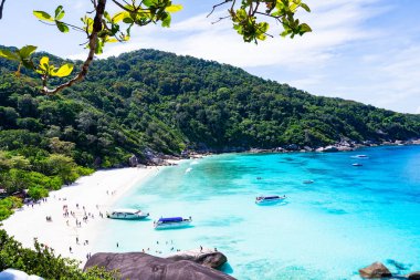 Similan Adaları 'nda kumlu sahillere dalgaların çarptığı güzel bir sahil. Similan 8 numaralı tropik deniz adası. Similan Ulusal Parkı, Phang nga Tayland.