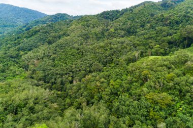 Hava manzaralı Tropikal yağmur ormanları dağları, tepedeki yeşil orman arka planı