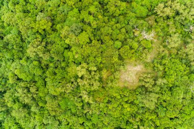 Hava manzaralı Tropikal yağmur ormanları dağları, tepedeki yeşil orman arka planı