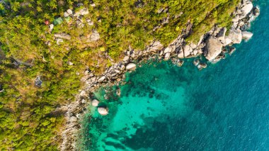 İHA 'nın yukarıdan görünüşü kuş bakışı mavi suyu ve mercan resifini Koh Tao Tayland' da Drone High angle view 'de görüyor.