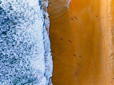 Üst manzara dalgaları kumlu sahile çarpıyor, sahilin deniz manzarası arka planında