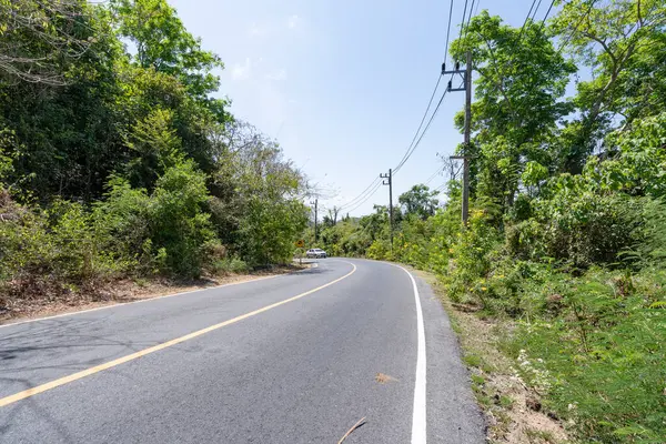 Doğa manzaralı Phuket Tayland 'da yüksek mevsimde güzel bir yol
