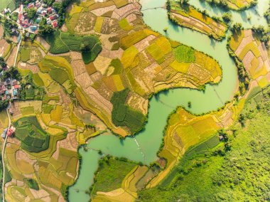 Kuzey Vietnam 'daki Trung Khanh, Cao Bang vilayetindeki Phong Nam köyünde pirinç tarlasıyla hava manzaralı bir manzara.