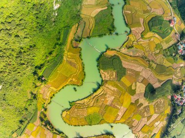 Kuzey Vietnam 'daki Trung Khanh, Cao Bang vilayetindeki Phong Nam köyünde pirinç tarlasıyla hava manzaralı bir manzara.