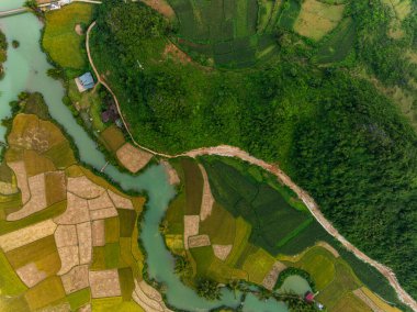 Kuzey Vietnam 'daki Trung Khanh, Cao Bang vilayetindeki Phong Nam köyünde pirinç tarlasıyla hava manzaralı bir manzara.