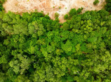 Hava manzaralı Tropikal yağmur ormanları dağları, tepedeki yeşil orman arka planı