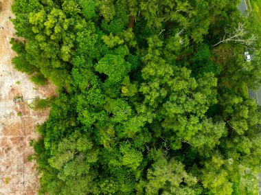 Hava manzaralı Tropikal yağmur ormanları dağları, tepedeki yeşil orman arka planı