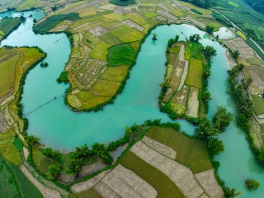 Kuzey Vietnam 'daki Trung Khanh, Cao Bang vilayetindeki Phong Nam köyünde pirinç tarlasıyla hava manzaralı bir manzara.