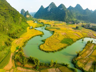 Kuzey Vietnam 'daki Trung Khanh, Cao Bang vilayetindeki Phong Nam köyünde pirinç tarlasıyla hava manzaralı bir manzara.