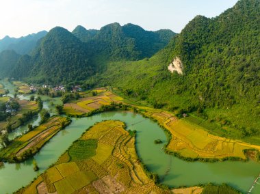 Kuzey Vietnam 'daki Trung Khanh, Cao Bang vilayetindeki Phong Nam köyünde pirinç tarlasıyla hava manzaralı bir manzara.