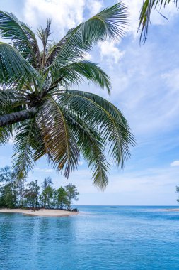 Palmiye ağaçlarıyla yaz denizi, mavi gökyüzü beyaz bulutlar arka plan