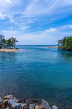 Palmiye ağaçlarıyla yaz denizi, mavi gökyüzü beyaz bulutlar arka plan