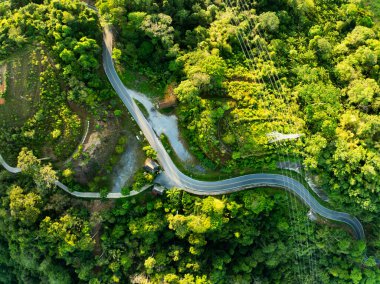 Hava manzaralı Tropikal yağmur ormanları dağları, tepedeki yeşil orman arka planı