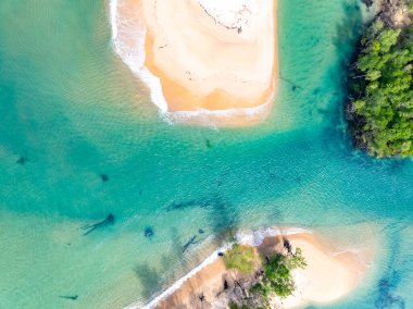 Yaz mevsimi arka planında inanılmaz deniz yüzeyi, doğa dalgaları deniz sahili arka planı, yüksek açı dalgaları deniz manzarası doğa manzarası, geniş açı drone çekimi, en iyi kumsal manzarası.