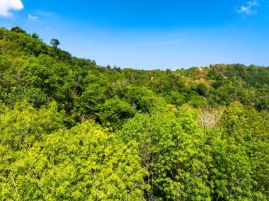 Hava manzaralı Tropikal yağmur ormanları dağları, tepedeki yeşil orman arka planı