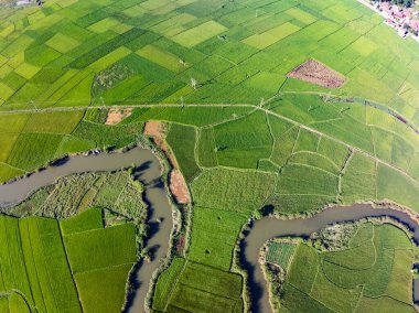 Kuzey Vietnam 'daki yeşil pirinç tarlasının havadan görünüşü, Kuzey Vietnam' daki güzel varış yeri, seyahat ve manzara, doğa ve pirinç tarlaları.