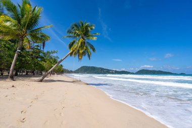 Boş tropikal plaj ve deniz manzarası güneşli bir günde güzel kumlu sahil ve deniz, güzel bir günde mavi gökyüzü, deniz manzarası doğa arka planı.