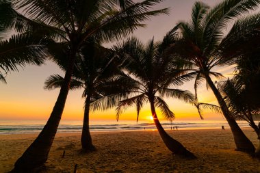 Gün batımında siluet hindistan cevizi palmiyeleri ya da deniz üzerinde gün doğumu gökyüzü, inanılmaz renkli gökyüzü doğa manzarası, güzel doğa gökyüzü ve bulutlar arka plan