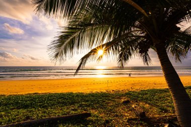 Gün batımında siluet hindistan cevizi palmiyeleri ya da deniz üzerinde gün doğumu gökyüzü, inanılmaz renkli gökyüzü doğa manzarası, güzel doğa gökyüzü ve bulutlar arka plan