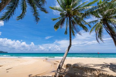 Boş tropikal plaj ve deniz manzarası güneşli bir günde güzel kumlu sahil ve deniz, güzel bir günde mavi gökyüzü, deniz manzarası doğa arka planı.