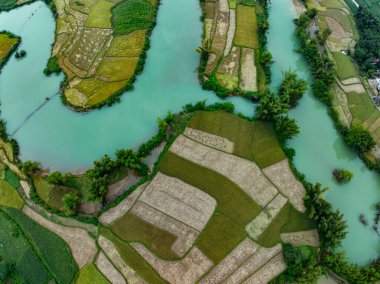 Kuzey Vietnam 'daki yeşil pirinç tarlasının havadan görünüşü, Kuzey Vietnam' daki güzel varış yeri, seyahat ve manzara, doğa ve pirinç tarlaları.