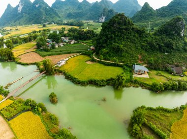 Kuzey Vietnam 'daki Trung Khanh, Cao Bang vilayetindeki Phong Nam köyünde pirinç tarlasıyla hava manzaralı bir manzara.
