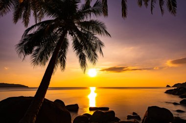 Gün batımında siluet hindistan cevizi palmiyeleri ya da deniz üzerinde gün doğumu gökyüzü, inanılmaz renkli gökyüzü doğa manzarası, güzel doğa gökyüzü ve bulutlar arka plan