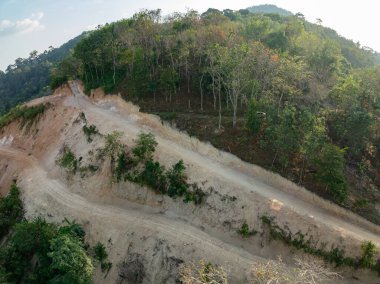 Ormanların yok edilmesi, ormanların tahrip edilmesi, kırsal bölgelerdeki arazi erozyonu, ormanların yok edilmesi çevresel yıkım, insan gelişimi için yağmur ormanlarının yok edilmesi.