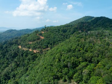 Yaz mevsiminde güzel tropikal yağmur ormanları Aerial view insansız hava aracı görüntüsü, yüksek açılı görüntü
