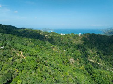 Yaz mevsiminde güzel tropikal yağmur ormanları Aerial view insansız hava aracı görüntüsü, yüksek açılı görüntü